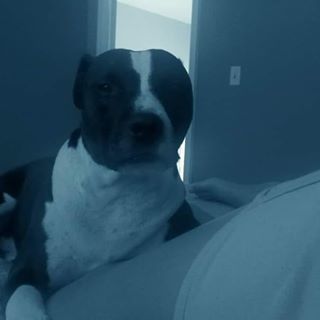 Profile Picture of Jason Keomyxay (@jason.keomyxay) on Facebook