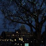 Profile Picture of James Petropoulos (@james.petropoulos_photography) on Instagram