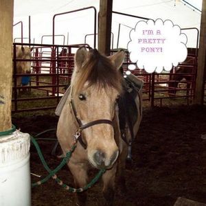 Profile Picture of Alexandra Herring (@420708164) on Myspace