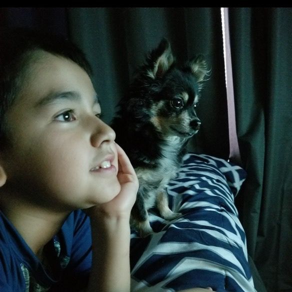 Profile Picture of adriantassi (@adrian.tassi) on Tiktok