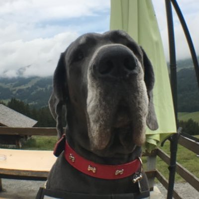 Profile Picture of Greg Holt (@gregholt71) on Twitter