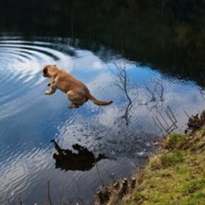 Profile Picture of Simon Cartwright (@S1monPC) on Twitter
