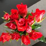 Profile Picture of Monika Zysk (@monika_zysk) on Instagram