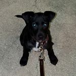 Profile Picture of Monte Collard (@montecollard) on Instagram