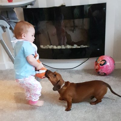 Profile Picture of Andy Vandal (@andyvandal) on Twitter