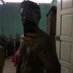Profile Picture of Kenneth Blanco (@Blanco96K) on Twitter