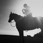 Profile Picture of Cadence Fedorvich (@alberta.barrels) on Instagram