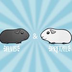 Profile Picture of Audrey, Mabel and Baby Betty🐹 (@elvis_pretzel_guineapigs) on Instagram