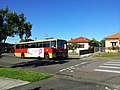 Profile Picture of Roselands, New South Wales - Wikipediaon Wikipedia