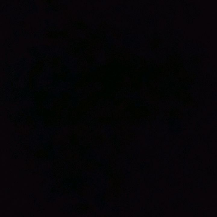 Profile Picture of Leo Borg (@leoborg) on Tiktok