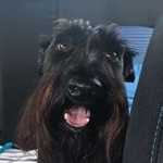 Profile Picture of Lynn O'Connor (@lynnoconnor2) on Instagram