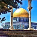 Profile Picture of ahmad jamhour (@jamhourahmad) on Instagram