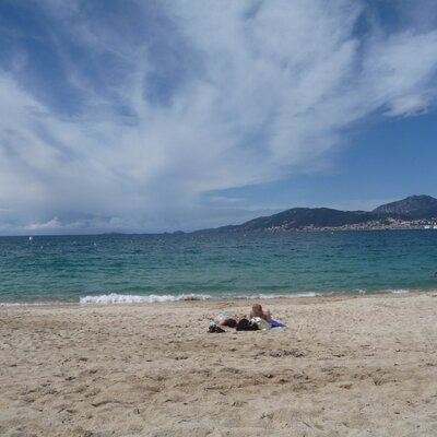 Profile Picture of Thomas Blust (@ThomasBlust) on Twitter