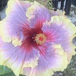 Profile Picture of Shirley Jeanette Sanford (Sanford) (@shirley.robertson.144) on Facebook