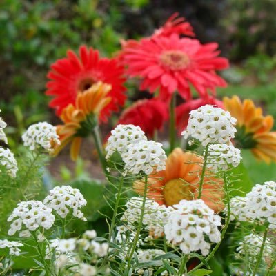 Profile Picture of Rene Mcintyre (@ReneMcintyre) on Twitter