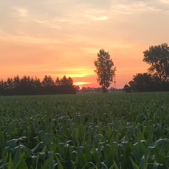 Profile Picture of Makenzie Oatley (@kenzieoatley02) on Poshmark