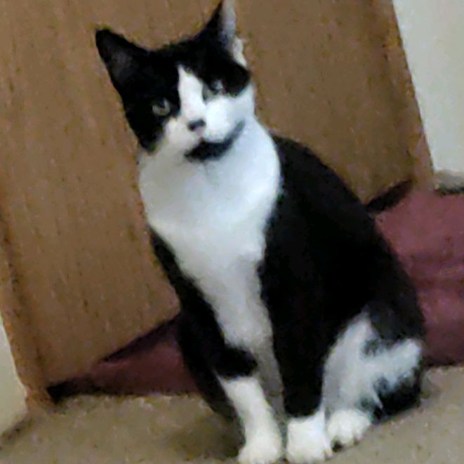 Profile Picture of Joseph Reineman902 (@monsterritis) on Tiktok