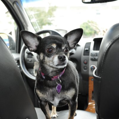 Eugene Wofford - Twitter Profile Picture of Eugene Wofford (@FWofford69) on Twitter