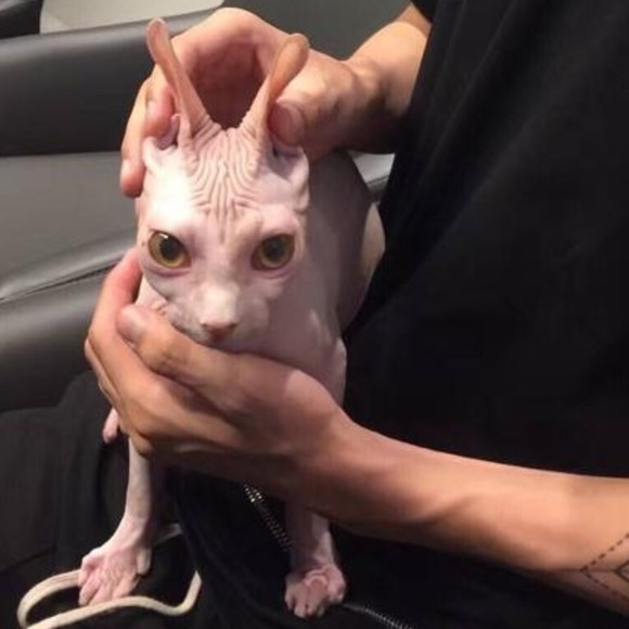 Profile Picture of Gerald Mateo (@desjastellwg30) on Poshmark