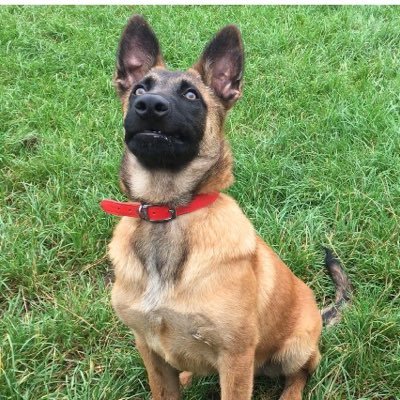 Profile Picture of Brent Hardy (@Brenthardy1) on Twitter