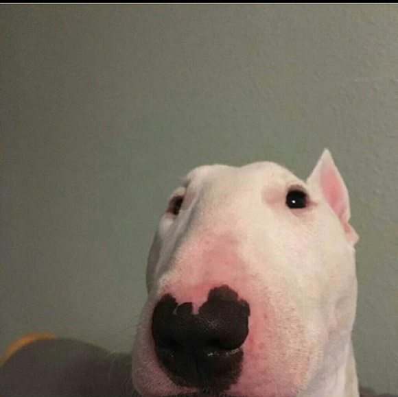 Sanibel Cropf - Poshmark Profile Picture of Sanibel Cropf (@s4nibella) on Poshmark