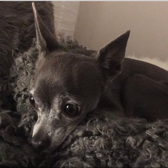 Profile Picture of Olga Schleicher (@osfoto) on Poshmark