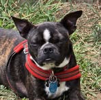 Profile Picture of Janice Percell (@janice.percell.2025) on Facebook