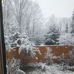 Profile Picture of Wilma McIvor (@williaminamci) on Instagram