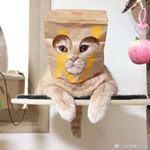 Profile Picture of Kelly chun (@chun774) on Instagram