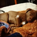 Profile Picture of Heron Lara (@heron.lara.969) on Facebook