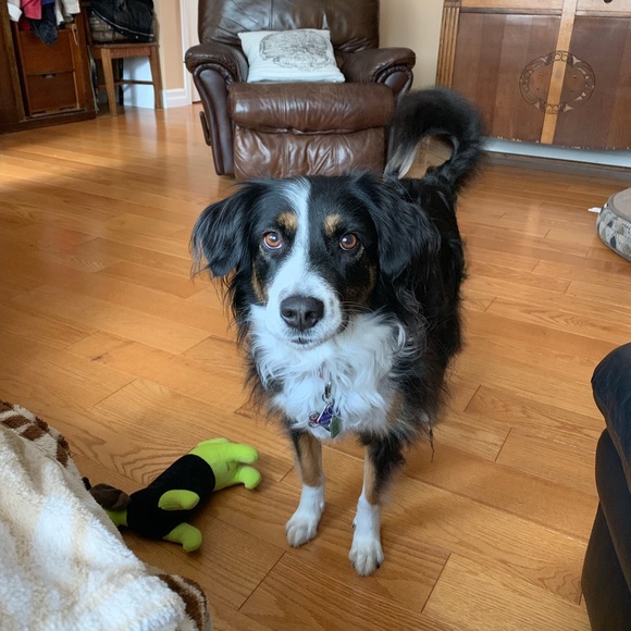 Profile Picture of Kristie Mcindoo (@kmac_92) on Poshmark