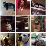 Profile Picture of Debbie Swindall (@debbie.swindall.3) on Facebook