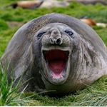 Darabont Gellért - Instagram Profile Picture of Darabont Gellért (@d_gellert24) on Instagram