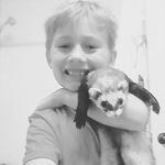 Kevin - Instagram Profile Picture of Kevin (@ferret_kevin) on Instagram
