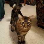 Profile Picture of Michael Bando (@mbando19835) on Instagram