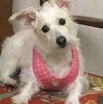 Paula Awtry Harris - Facebook Profile Picture of Paula Awtry Harris (@Paula-Awtry-Harris) on Facebook