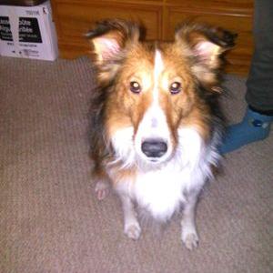 Kim Baumbach - Twitter Profile Picture of Kim Baumbach (@KimBaumbach) on Twitter