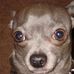 Profile Picture of Baxter Hicks (@baxter.hicks.7) on Facebook