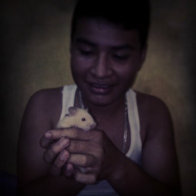 Profile Picture of ◄ ☀Daniel  ☀► (@Daniel_argueta2) on Twitter