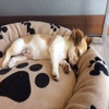 Profile Picture of Daniel meagher (@@daniel_meagher) on Tiktok