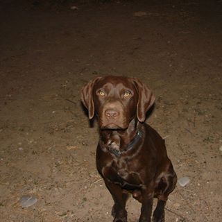 Profile Picture of Cooper Larson (@cooper.larson.75) on Facebook