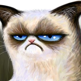 Profile Picture of Rachel Purpura Patterson (@rpatterson398) on Pinterest