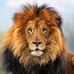 Profile Picture of Lazaro Lugones (@profile.php) on Facebook