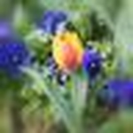 Profile Picture of Jamie (@james_433) on Flickr