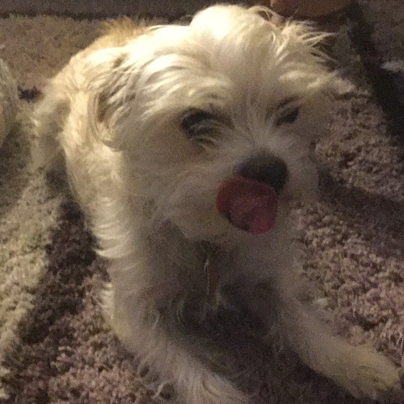 Profile Picture of Julie Truxall (@truxallj) on Poshmark