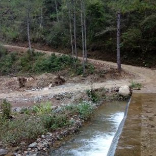 Profile Picture of Heladio Lopez (@HeladioLopez11) on Twitter