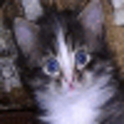 Profile Picture of Shawn Munson (@munson_shawn) on Twitter