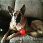 Profile Picture of Larry Ferris (@bigwheel4) on Instagram