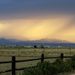 Profile Picture of Taylor Gale (@taylormarie24) on Pinterest