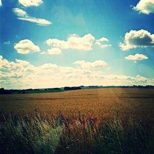 Profile Picture of Nancy Fischer (@nf01101970) on Twitter